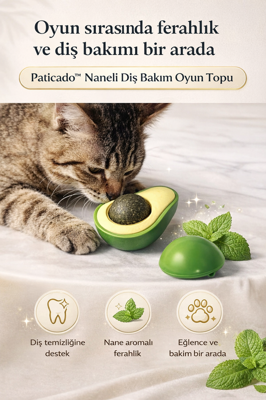 Paticado™ Naneli Diş Bakım Oyun Topu