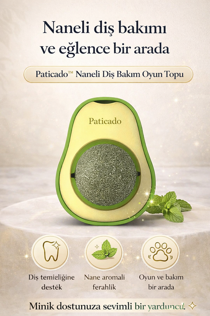 Paticado™ Naneli Diş Bakım Oyun Topu