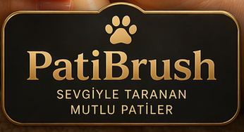 PARVİS